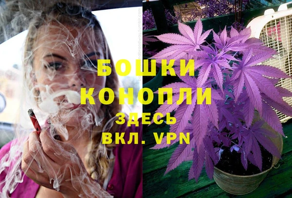 стаф Заволжье