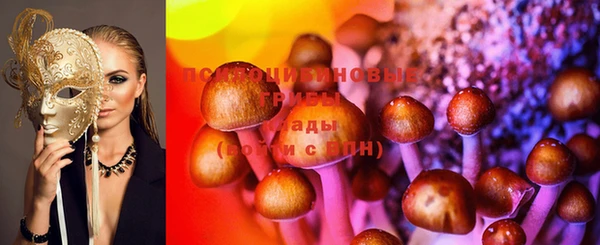 стаф Заволжье