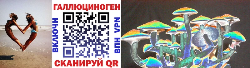 Галлюциногенные грибы прущие грибы  Купить где  Елабуга 